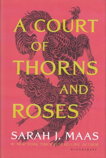 تصویر  A Court of thorns and roses 1درباری از خار و زر